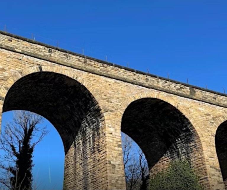 Guided Nature Walk – Springwood to Kingsbridge