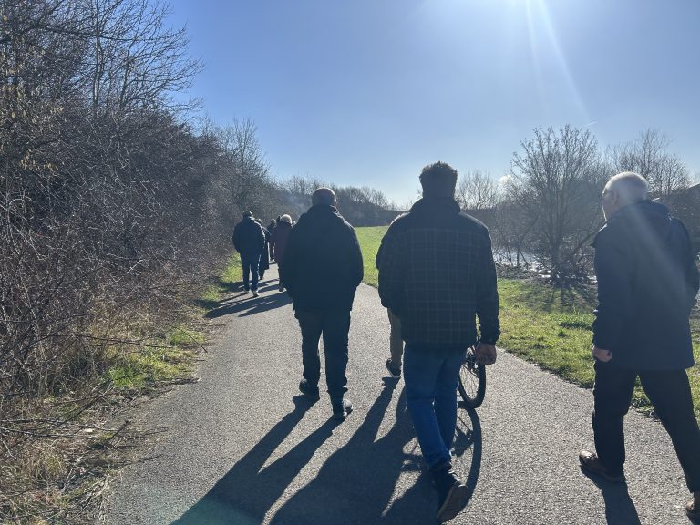group walking in nature