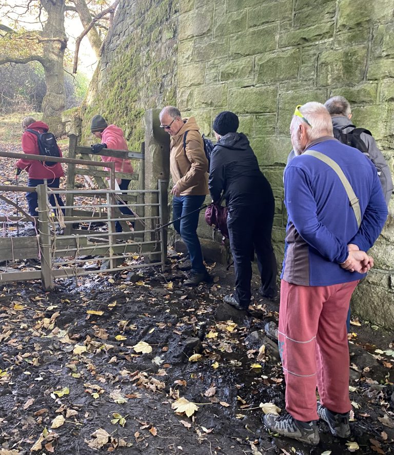 The Benefits of Walking: A Simple Step Towards Better Health