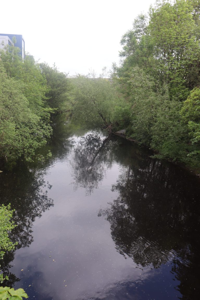 Guided Nature Walk Kilner Bank Nature Reserve